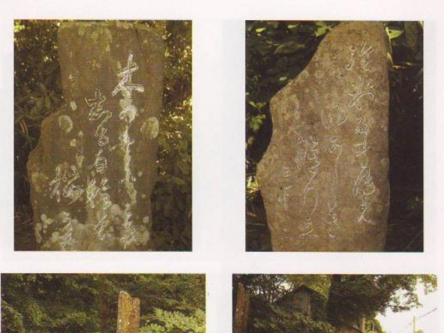 �m�ԋ��(��ʑ��n��)�̎ʐ^1