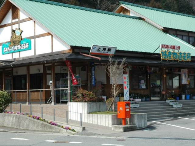 �ӂꂠ���̗��㌎���Y��������