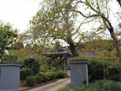 �������̎ʐ^1