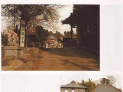 ��L�R���򎛂̎ʐ^1