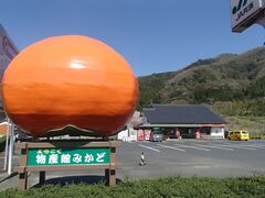 ���Y�ق݂��ǂ̎ʐ^1