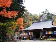 �R�{�s�����̍g�t�̎ʐ^1