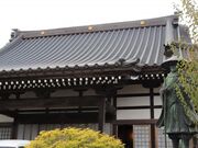 �������̎ʐ^2