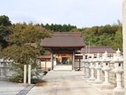 �������̎ʐ^2