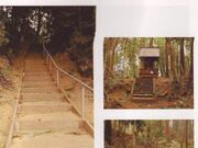 �ʑ���Ղ̎ʐ^1