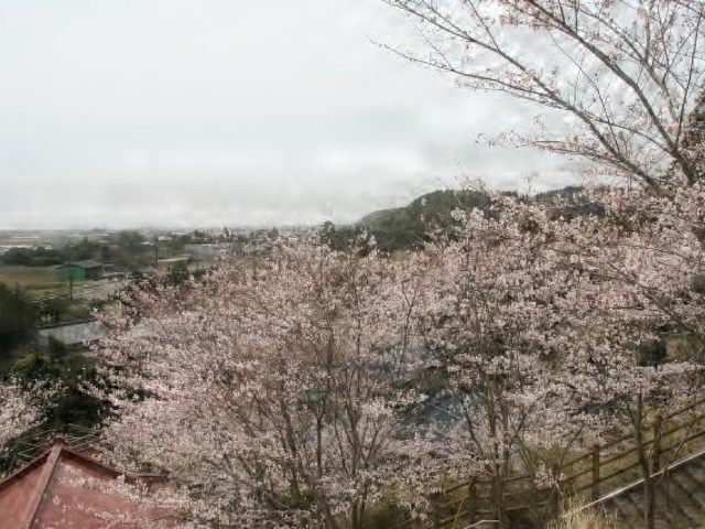 ���i��Ԑ_�Ёj�̎ʐ^1