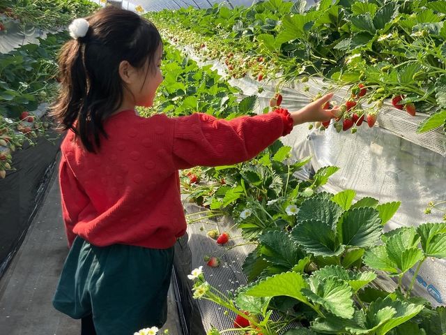 �ǂȂ��ł��E�݂₷�������ŁA�y�ȑ̐��łł��܂�_�����炢������