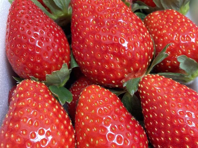 �������C�`�S�����y�Y�ɂǂ�����_�����炢������