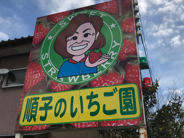 ���q�̂�������