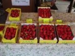 �y���������������̎ʐ^1