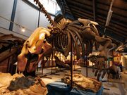 ���c�����Α̌��ق̎ʐ^1