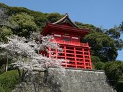 �s�����̌䓰�i�Q�ؕs���@�j�̎ʐ^1