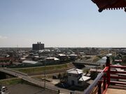 �s�����̌䓰�i�Q�ؕs���@�j�̎ʐ^2