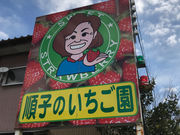 ���q�̂��������̎ʐ^3