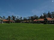 ���R�̌��^�w�K�{�݃l�C�`���[�݂炢�ق̎ʐ^2