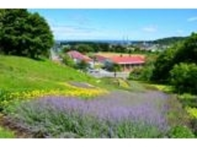 ��ێR�X�ь����u�T���^�̋u�v�̎ʐ^1