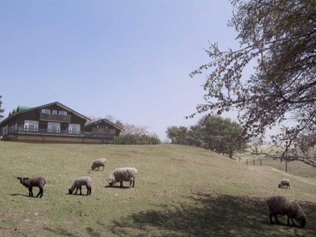 �J�����O���[���q��̎ʐ^1