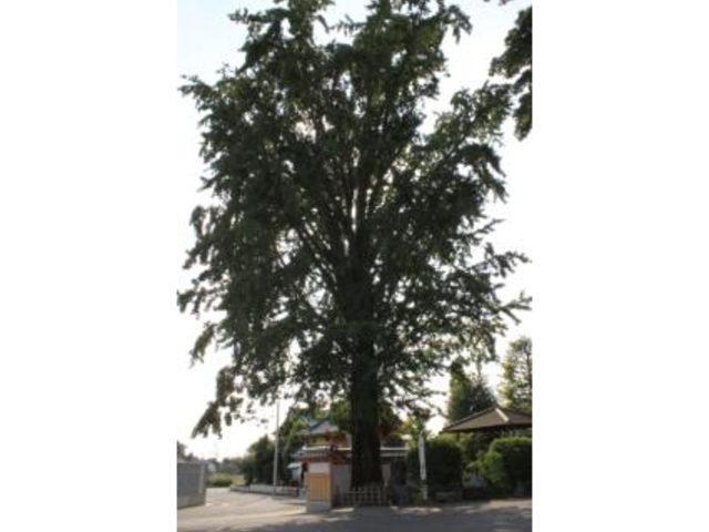 ���ю��̃C�`���E_���ю��̃C�`���E