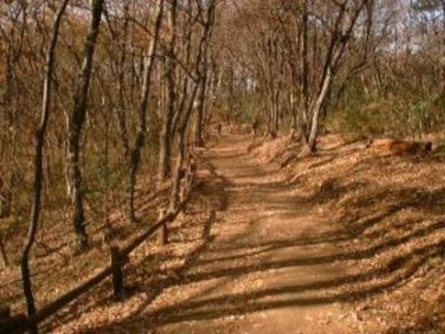 ���R�u�˂̓s�������u�����R�Βn�v