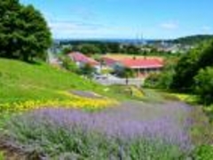 ��ێR�X�ь����u�T���^�̋u�v�̎ʐ^1