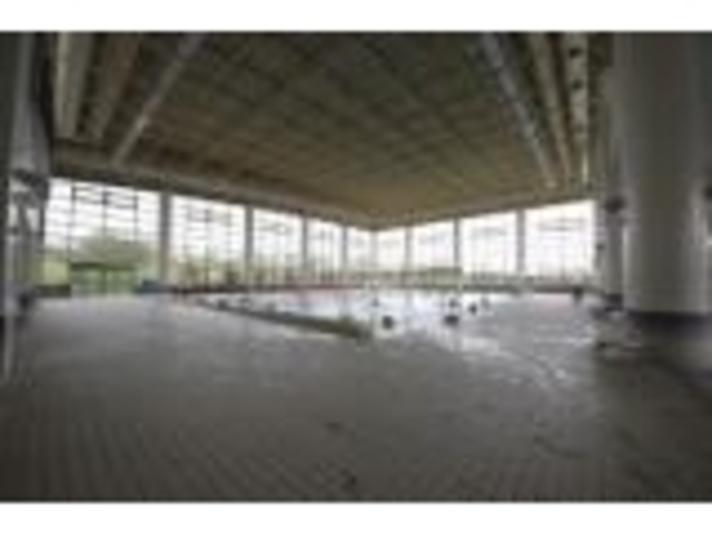 �p�c�s���������v�[���̎ʐ^1