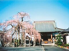 �������̃V�_���T�N���̎ʐ^1