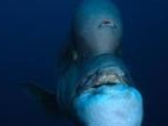 ���n�_�C�r���O�Z���^�[�̎ʐ^1