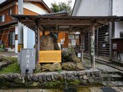 �g�ː����i�������傤���݂��j�̎ʐ^2