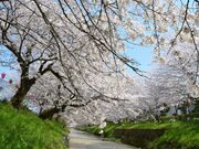 �����̍���̎ʐ^1