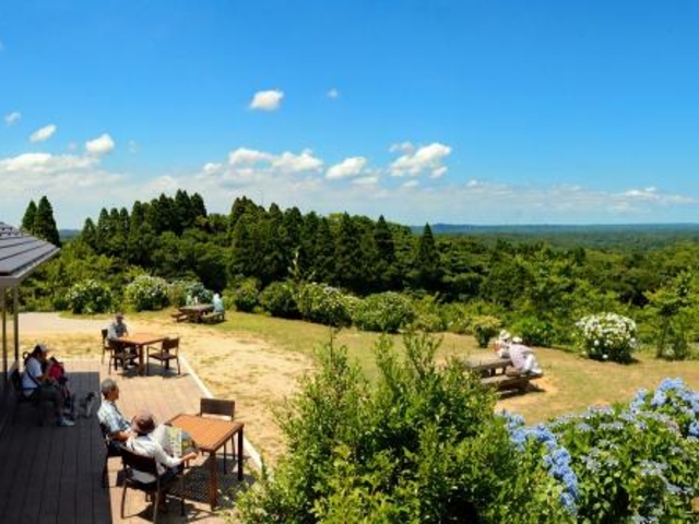 �쌩�������̎ʐ^1