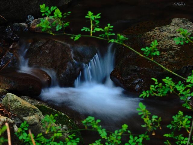 ���P���L�����v��̎ʐ^1