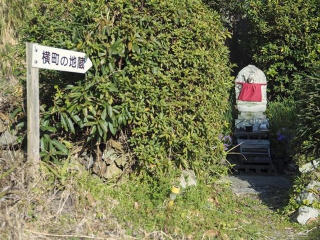 �����̒n���̎ʐ^1