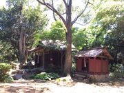 ���J���̎ʐ^2