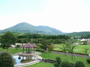 ��x�Ό����̎ʐ^2