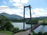 ��x�Ό����̎ʐ^3