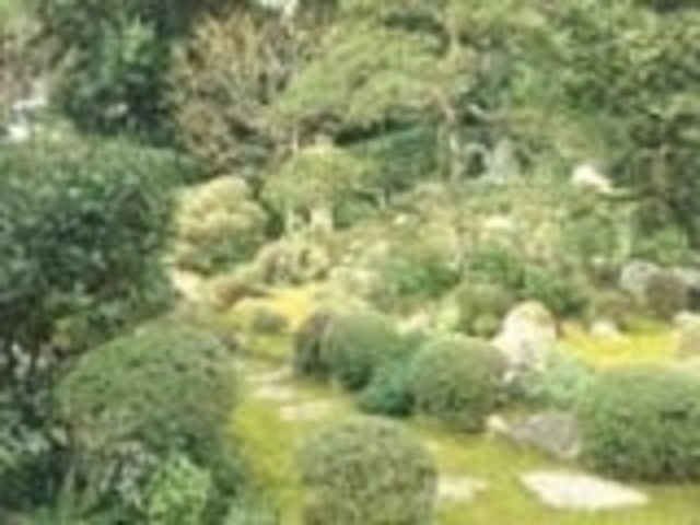 �ƕ����̎ʐ^1