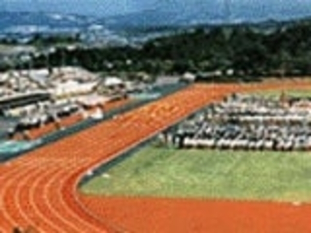 ���s�{���R�鑍���^�������u���z���u�v�i�X�|�[�c���]�[�g�{�݁j�̎ʐ^1