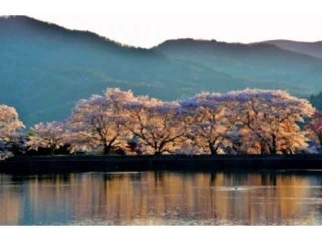 ���̑�����i�����݂̂��j�̎ʐ^1