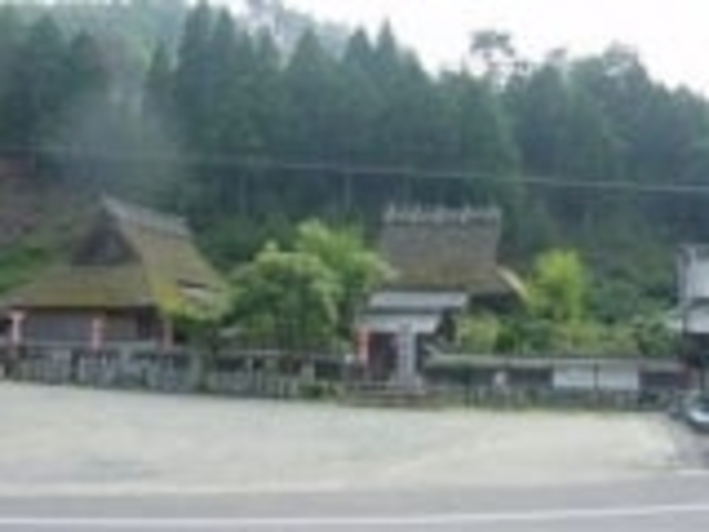 ���莛�̎ʐ^1