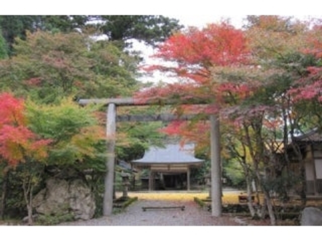 �����_�Ђ̎ʐ^1