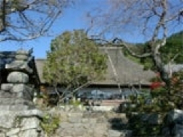 �T�莛�ܗ֓��̎ʐ^1