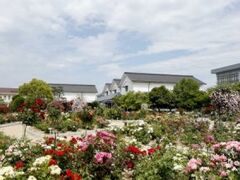 �O���[�������E�O���[�L�O�فE�������̎ʐ^1