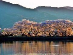 ���̑�����i�����݂̂��j�̎ʐ^1