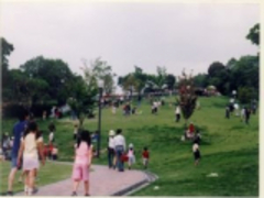 城陽市総合運動公園（鴻ノ巣山運動公園）の写真1