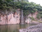 �₭�̌���������̎ʐ^1