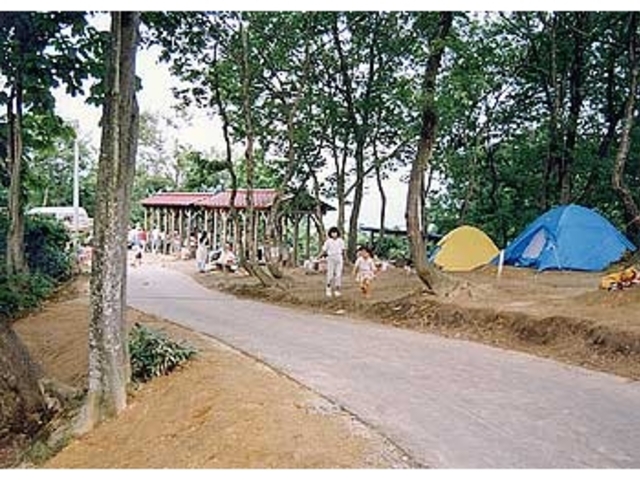 ����^�������@�I�[�g�L�����v��E�����L�����v��̎ʐ^1