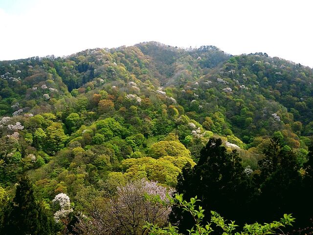 ���R�E����ѓ��o�R���̎ʐ^1