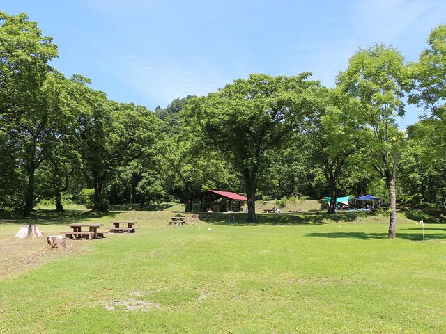 �q�[�����O�K�[�f�������Ȃ݃L�����v��̎ʐ^1