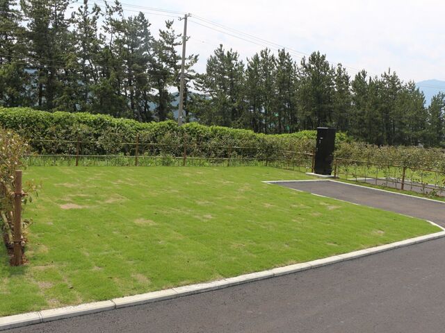 �{��ՊC�����I�[�g�L�����v��̎ʐ^1