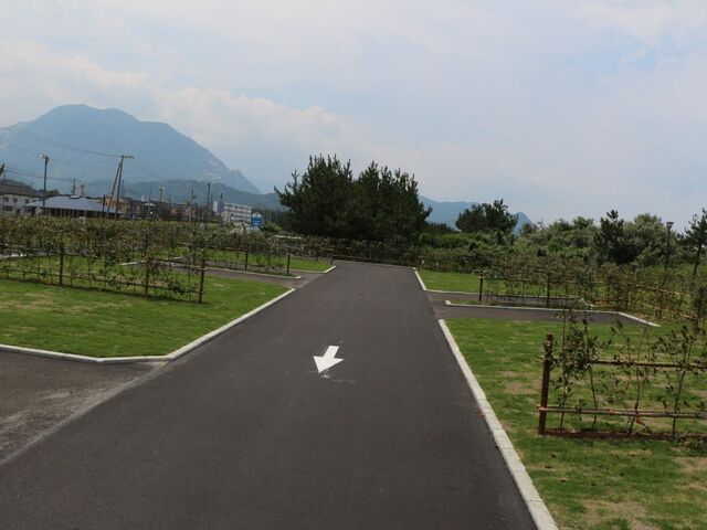 �{��ՊC�����I�[�g�L�����v��